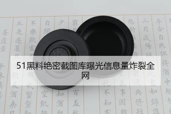 51黑料绝密截图库曝光信息量炸裂全网