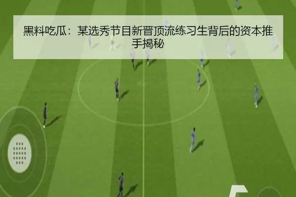 黑料吃瓜：某选秀节目新晋顶流练习生背后的资本推手揭秘